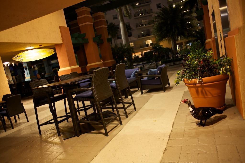 วินด์แฮม ปาล์ม แอร์ Hotel ปอมปาโนบีช ภายนอก รูปภาพ